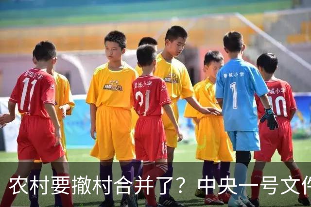农村要撤村合并了？中央一号文件明确规定，农民必须有发言权