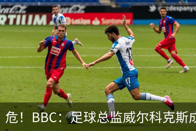 危！BBC：足球总监威尔科克斯成为众矢之的，舆论焦点正向他转移